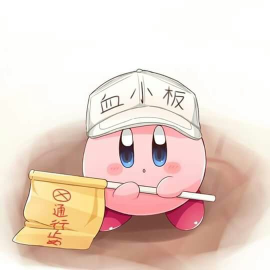 Serie animada de kirby | •Kirby Amino• Amino