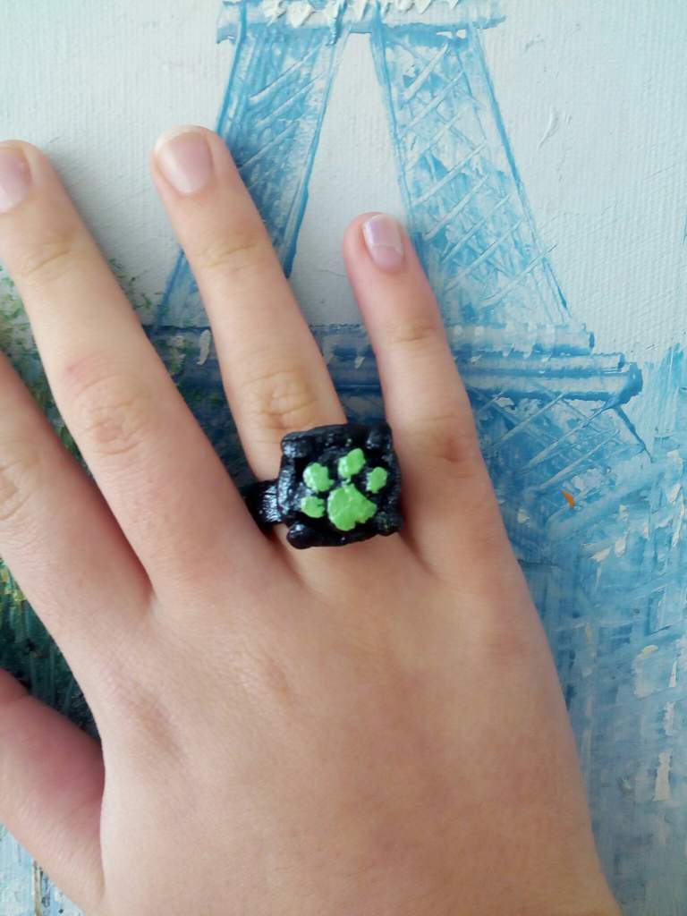 Miraculous Ladybug Chat Noir Handmade Ring Miraculous Amino