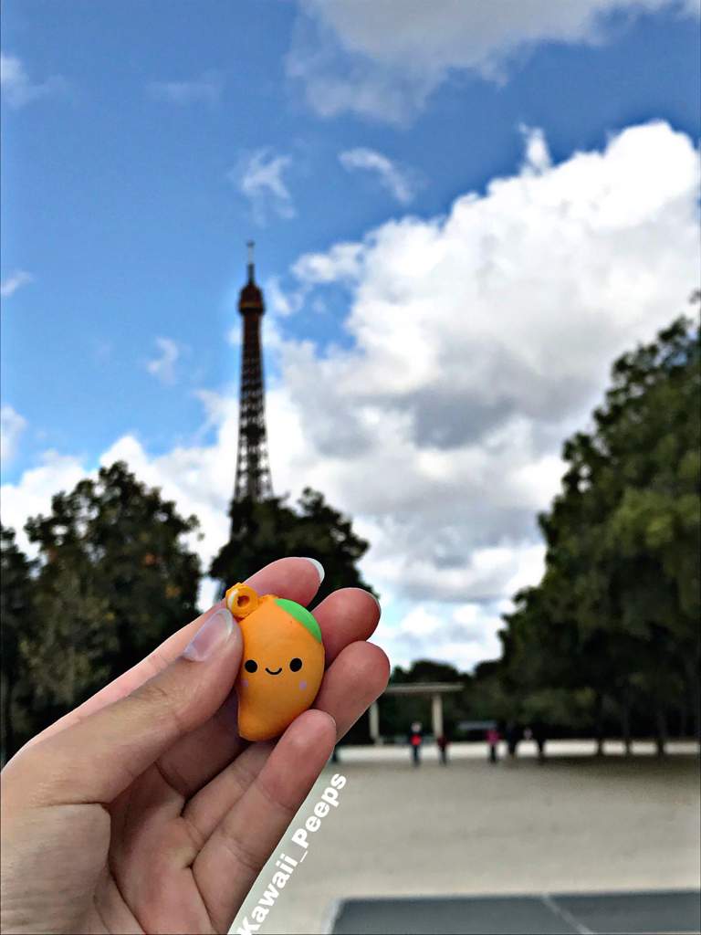 mini mango squishy