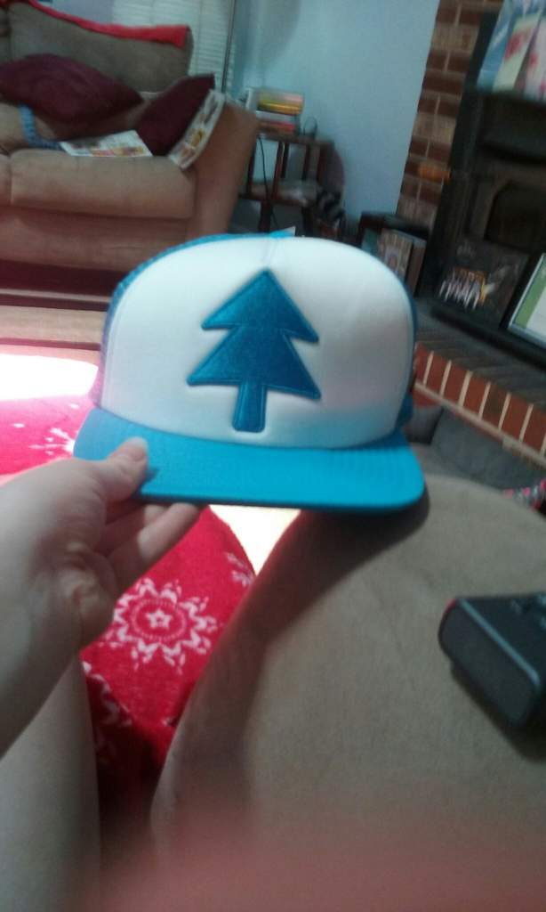 hot topic dipper hat