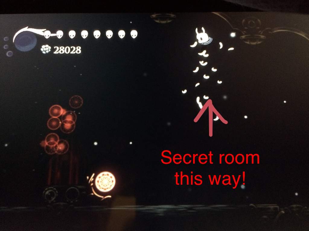 secret-zote-room-wiki-hollow-knight-amino