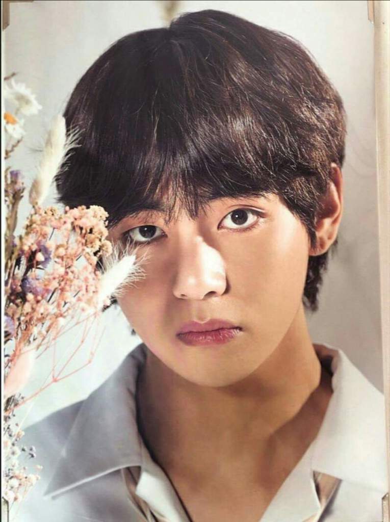 Bts Exhibition Pics And Photocards Kim Taehyung Amino 1930