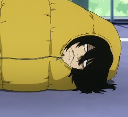 Sleeping bag aizawa is a big MOOD | My Hero Academia Amino