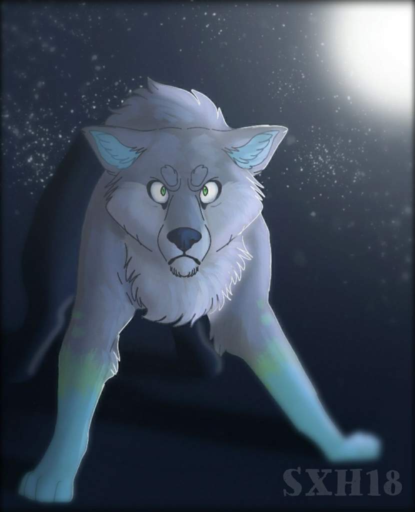 Rocky The 3rd | Furry Amino