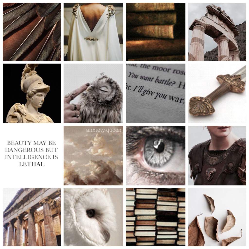 Athena vs Minerva (MSA) Middle School Amino Amino