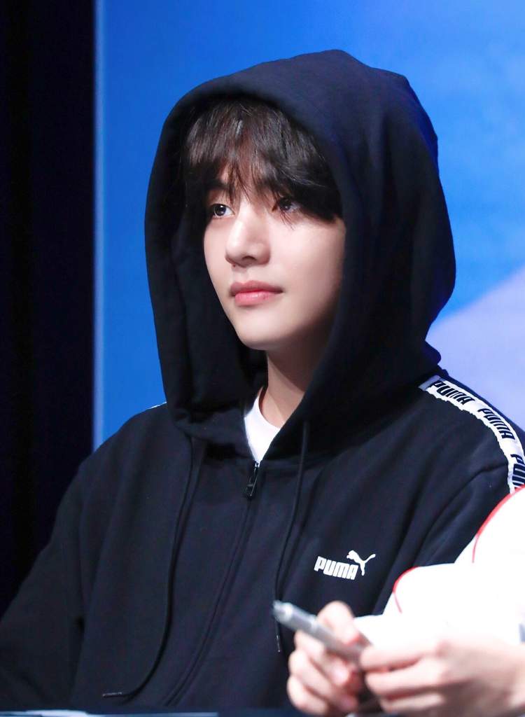 taehyung puma hoodie