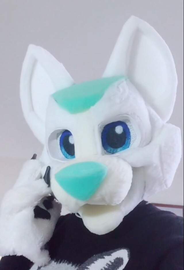 Arctic Fox Fursuit Head WIP!! | Furry Amino