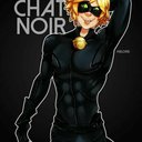 Image Image Cat Noir Render 2 Png Miraculous Ladybug Wiki Fandom Miraculous Amino