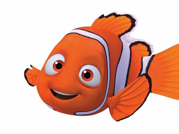 Nemo (Official Wiki) | Wiki | Finding Nemo & Finding Dory Amino