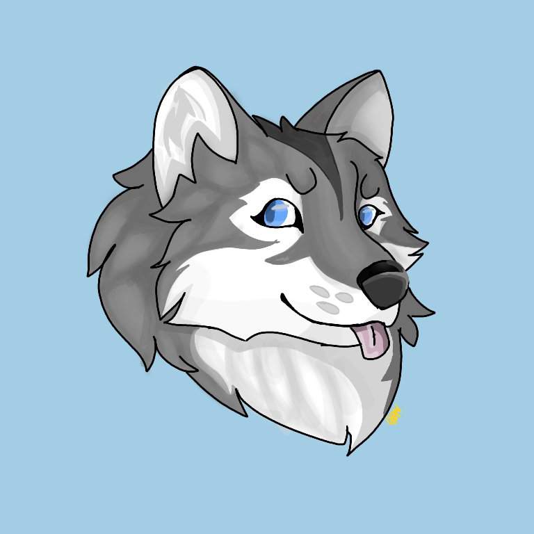 New pfp | Wolf Amino Amino