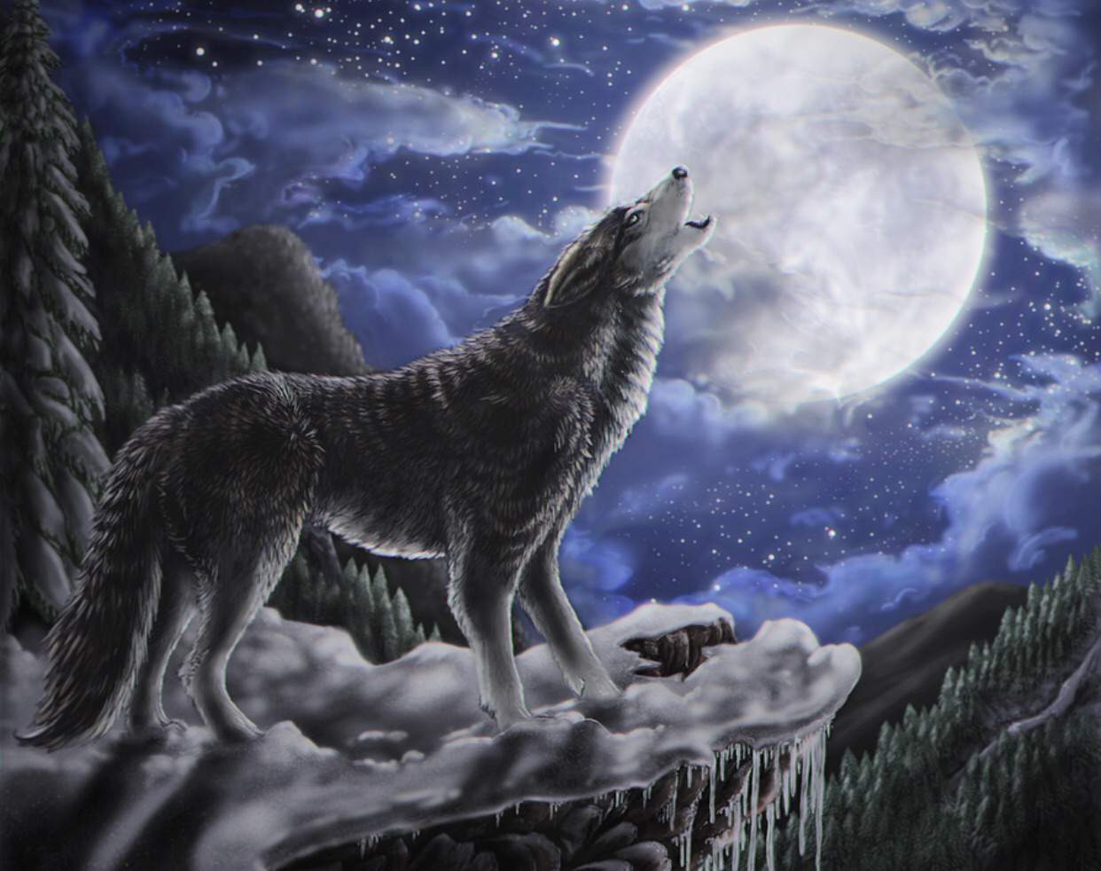 Волки воют на луну песни. Волк и Луна. Волк в ночи. Воющий волк. Волк на Камне.