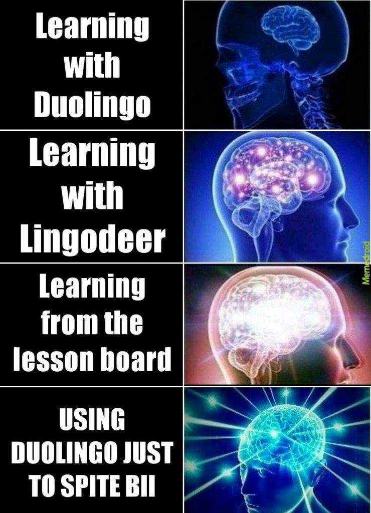 which is better duolingo or lingodeer