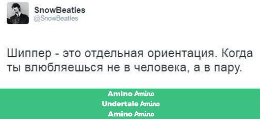 Флаг ориентации когда никого не любишь. Шиппер. Мем про шипперов. Флаг шипперов. Кто такой шиппер.