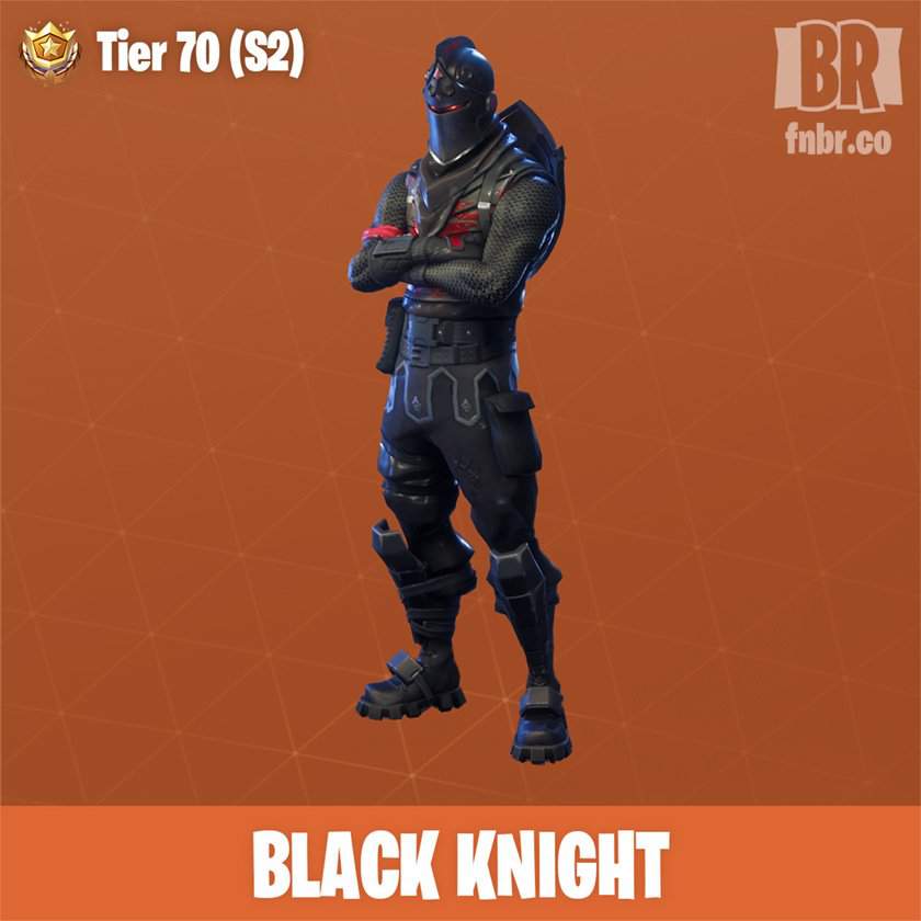 its more rare than sparkle specialist and unknown cause some people dont know about it - skin fortnite chevaliere