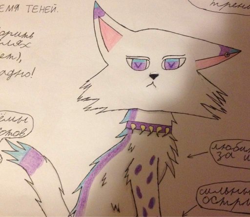Коты воители рисунки для скетчбука