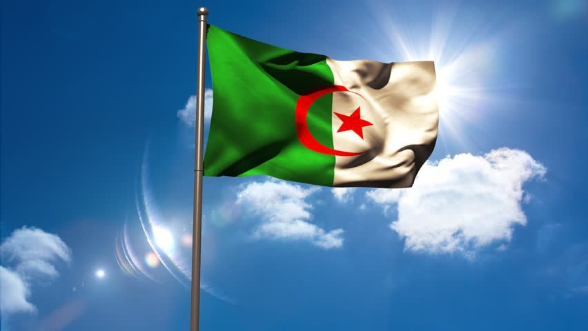Les Dz sont les meilleurs 🇩🇿🇩🇿🔥 | Maghreb United 🇲🇦🇩🇿🇹🇳 Amino