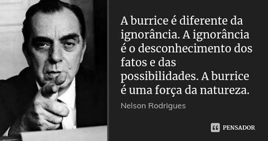 Frases de Nelson Rodrigues | Amantes do Saber™ Amino