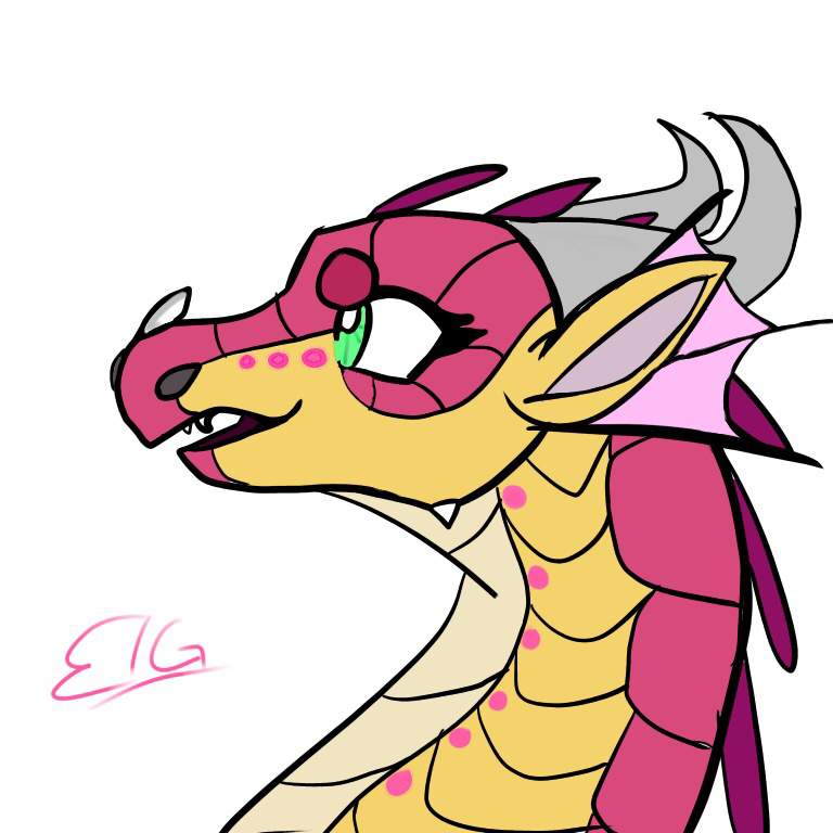 Kinkajou | Wings Of Fire Amino