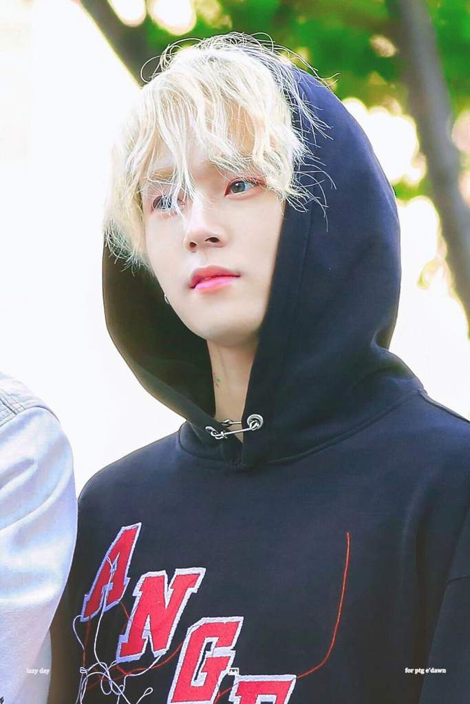 E'dawn. 🌱 | Wiki | sɪᴇɴᴅᴏ ɪᴅᴏʟs ғʀɪᴇɴᴅs Amino