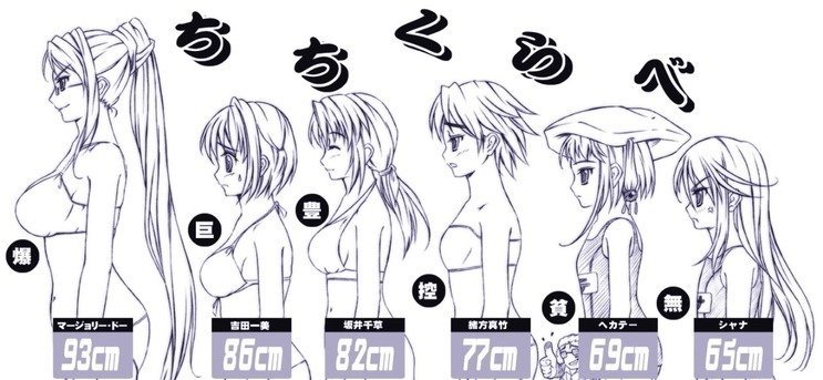 📊Bust Size Charts📊 | Anime Amino