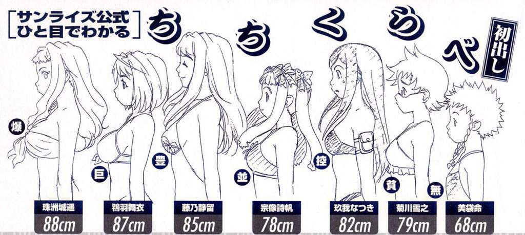 📊Bust Size Charts📊 | Anime Amino