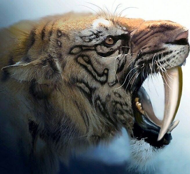 dinosaur with saber teeth