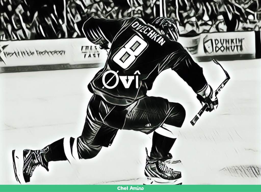 Top 5 Favorite Chel Members! | Chel Amino
