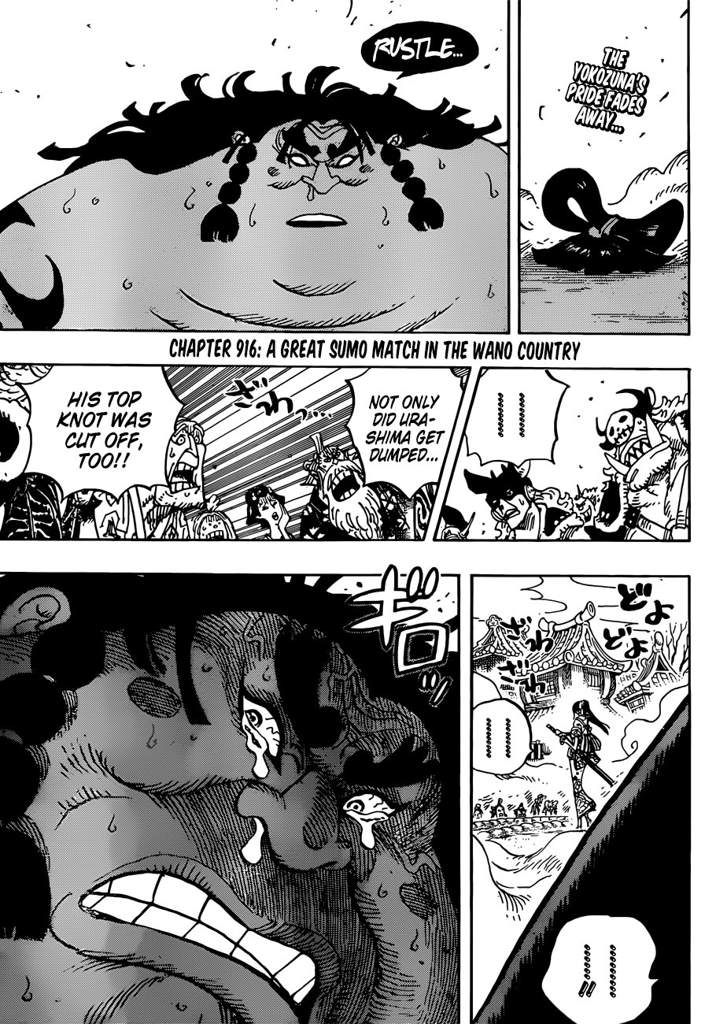 One Piece Chapter 916 Wano Country Sumo Wrestling Analysis One Piece Amino
