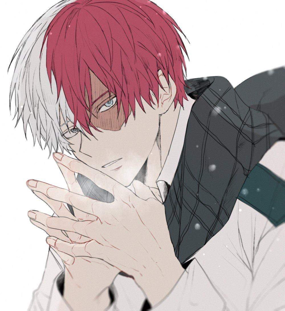 Shoto Todoroki | Wiki | Yaoi Worshippers! Amino