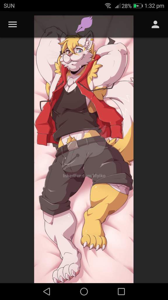 Waltt Body Pillow Furry Amino