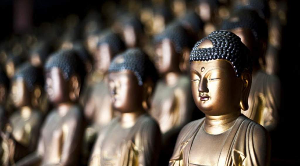 shin yatomi buddhism in a new light