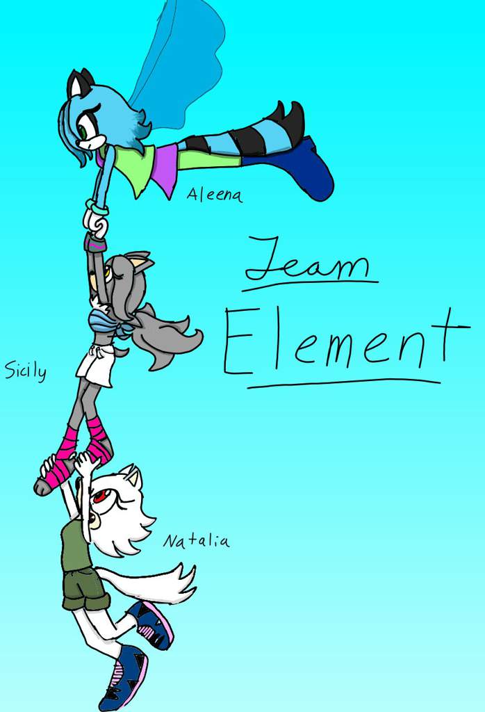 team-element-sonic-the-hedgehog-amino