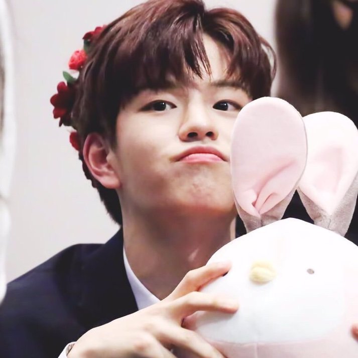 seungmin wiki kpop amino seungmin wiki kpop amino