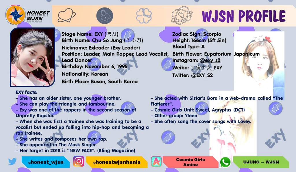 NEW WJSN MEMBERS PROFILE 2018 | Cosmic Girls [WJSN] Amino Amino