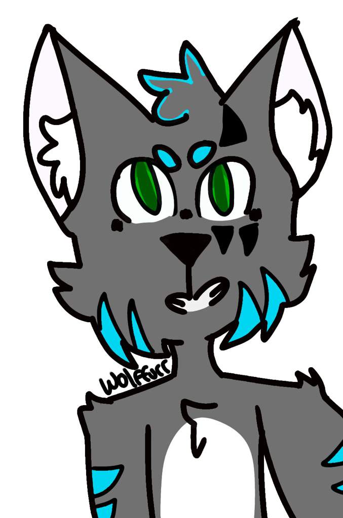 Echo | Wiki | Furry Amino