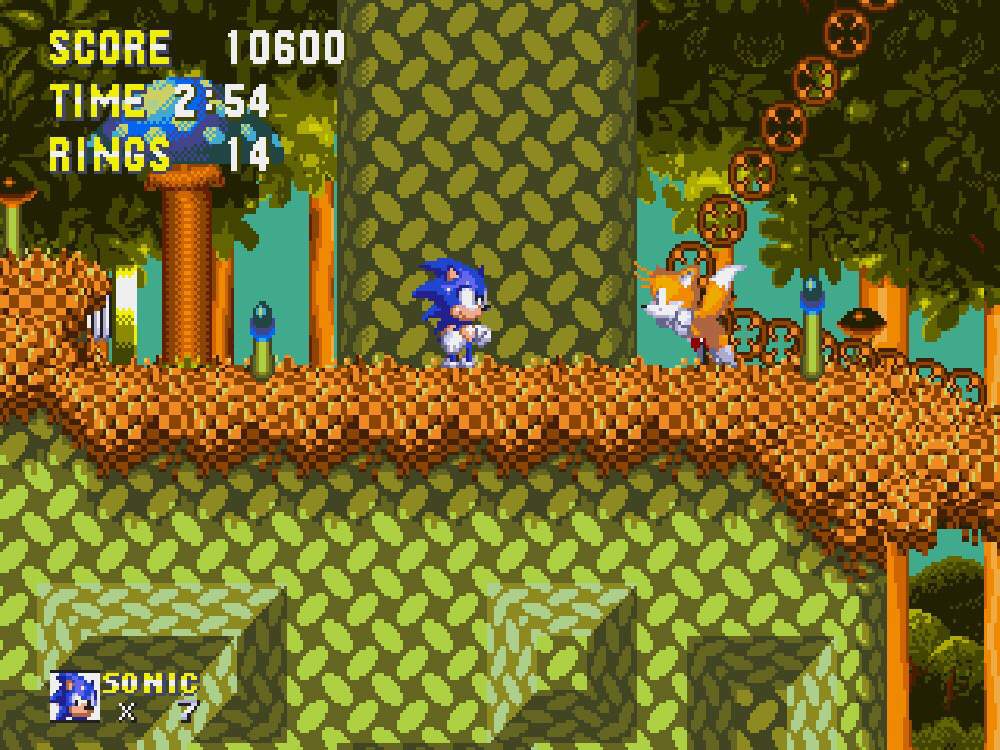 Poor tails | Sonic the Hedgehog! Amino