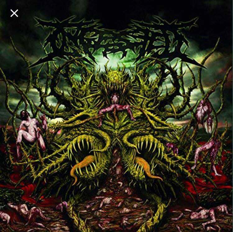 my-top-10-favorite-brutal-death-metal-albums-metal-amino