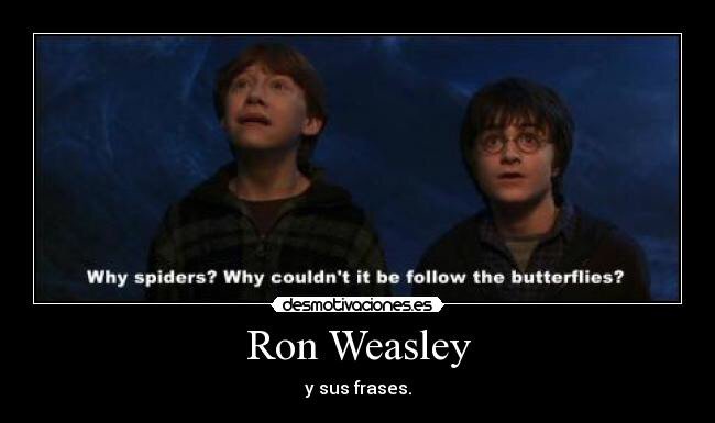 Frases Ron Weasley?? | •Harry Potter• Español Amino