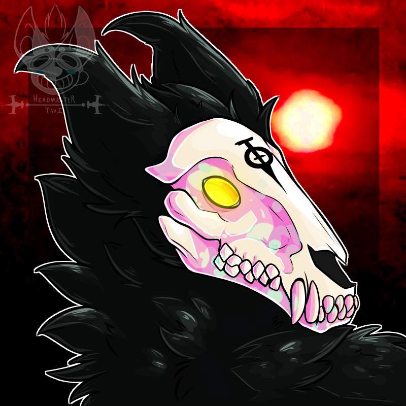 Vladimir The Skulldog💀 | Furry Amino - 800 x 800 jpeg 63kB