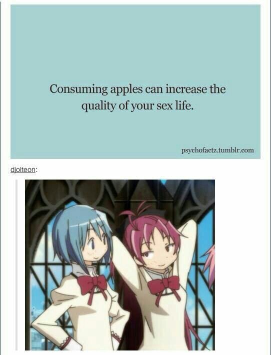 Some Madoka memes just because my obssesion about it always comes back when...