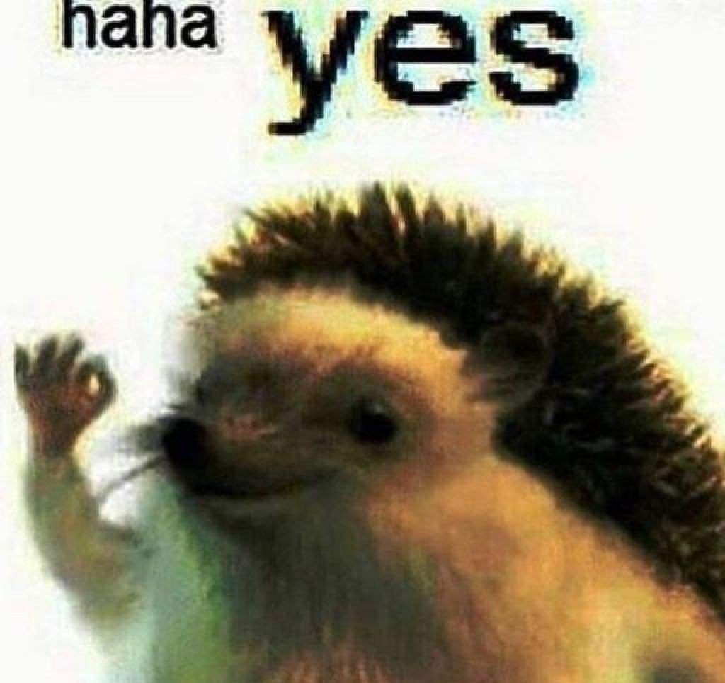 Haha yes