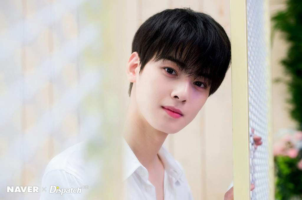 Cha Eun Woo | Wiki | K-Drama Amino