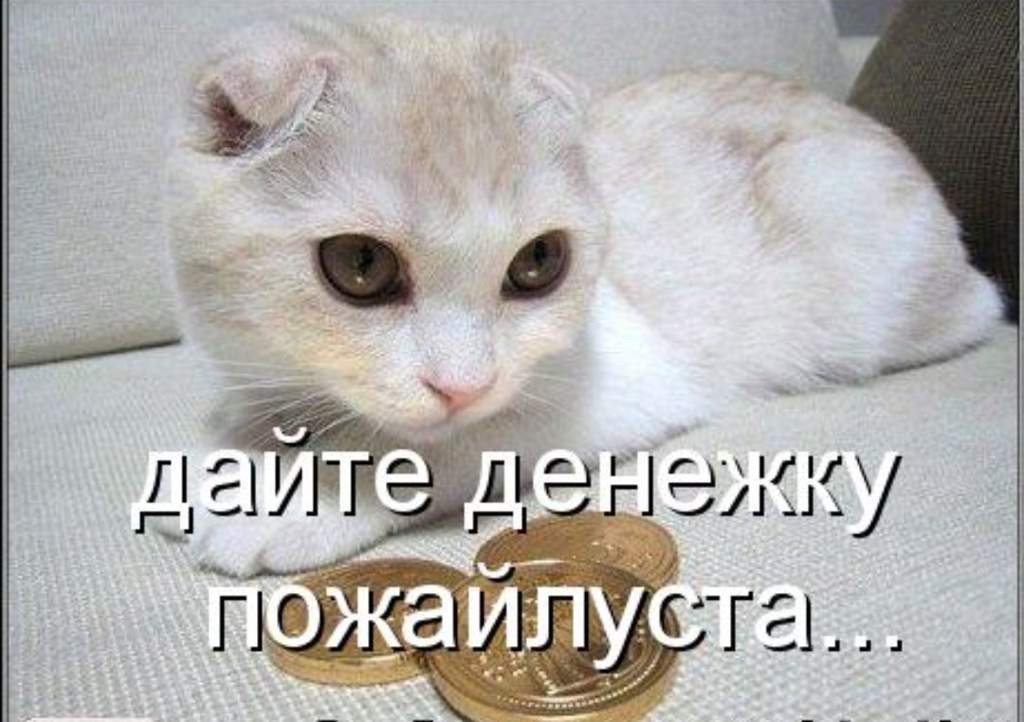 Картинка с надписью дай денежку