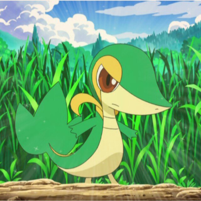 Ash's Snivy is the best thing about Best Wishes anime.