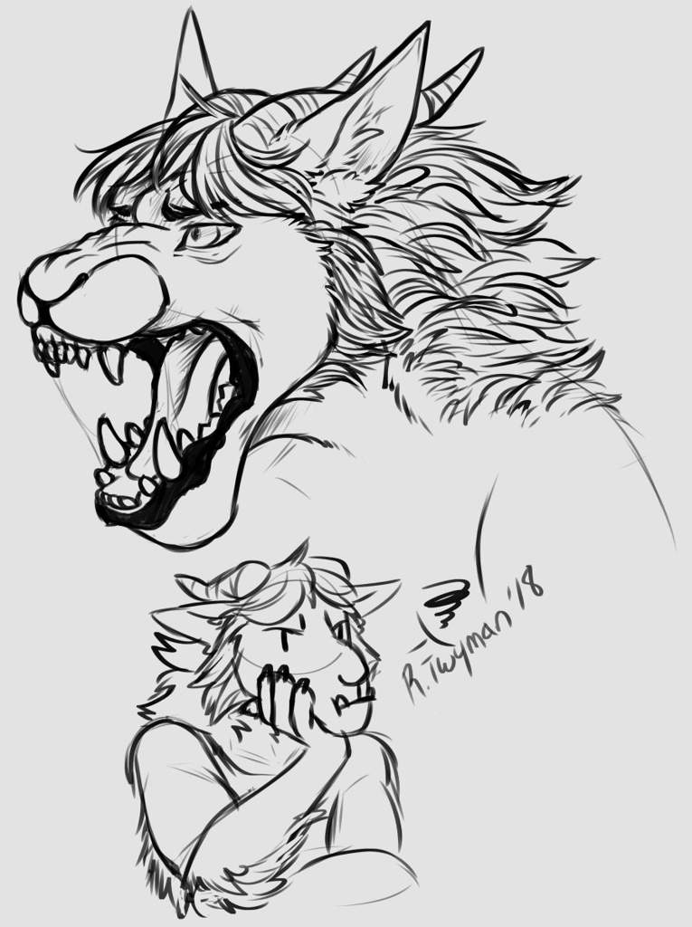 Furry Au Doodles 