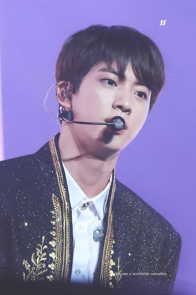 JIN in the LA concert! | Seokjin Amino