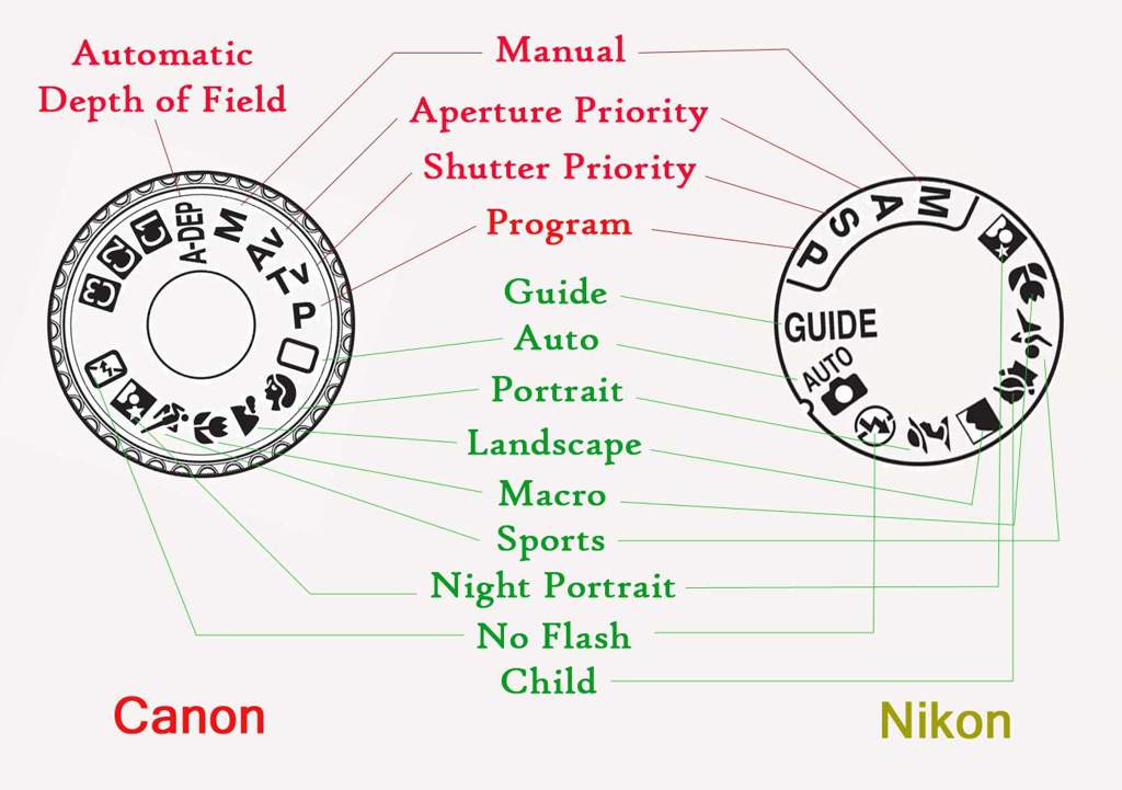 DSLR Basics Notes Wiki Photography Amino