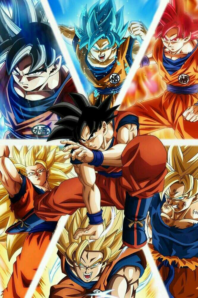 Goku all forms | Wiki | Dragon Ball Super Official™ Amino