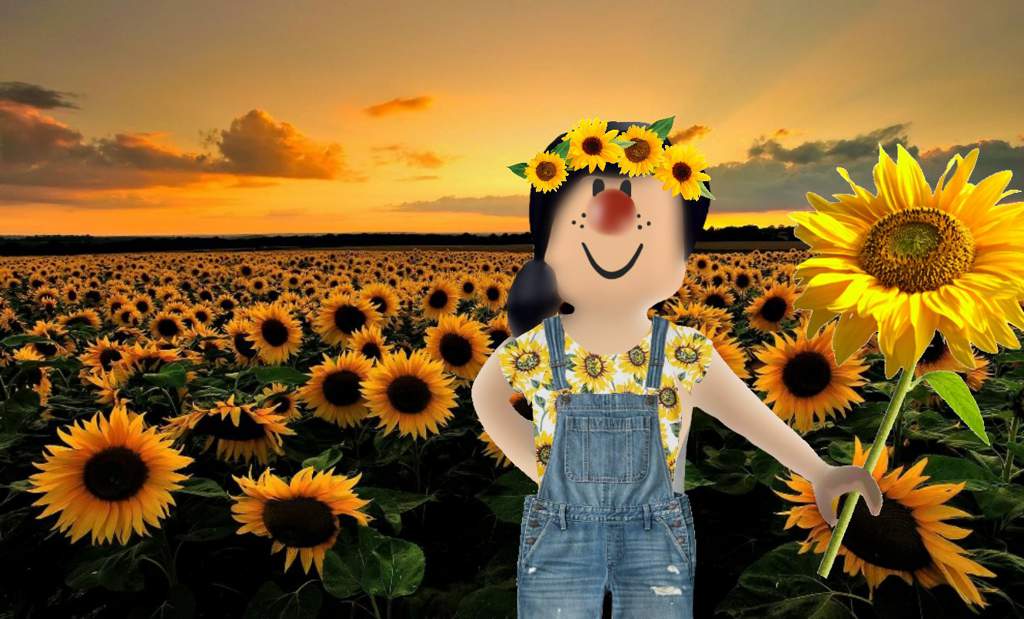 Sunflower Gfx Roblox Amino