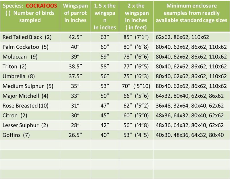 cage-sizes-birds-amino-amino